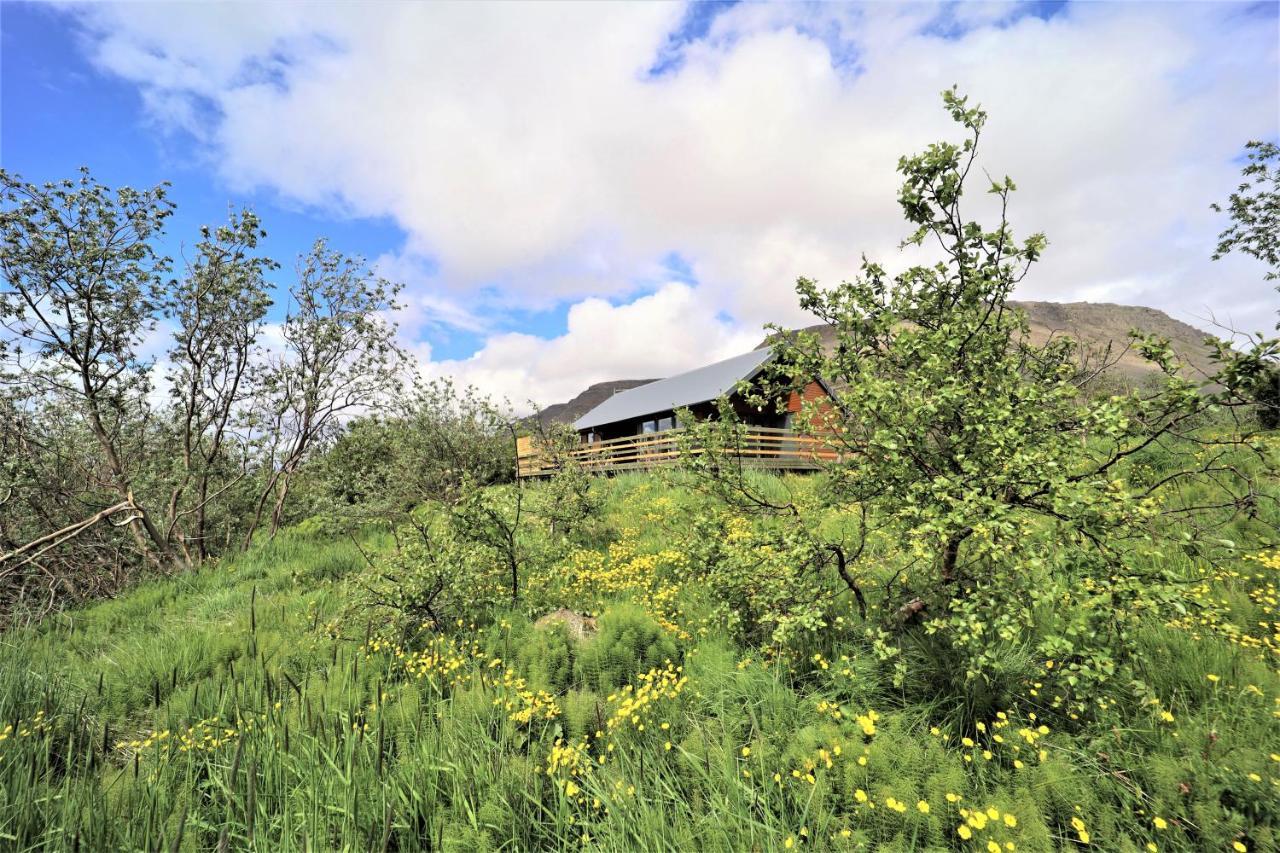 Dixon Cabin nr. 4 / Dixon Sumarhús nr. 4 Tálknafirði Vila Talknafjordur Exterior foto